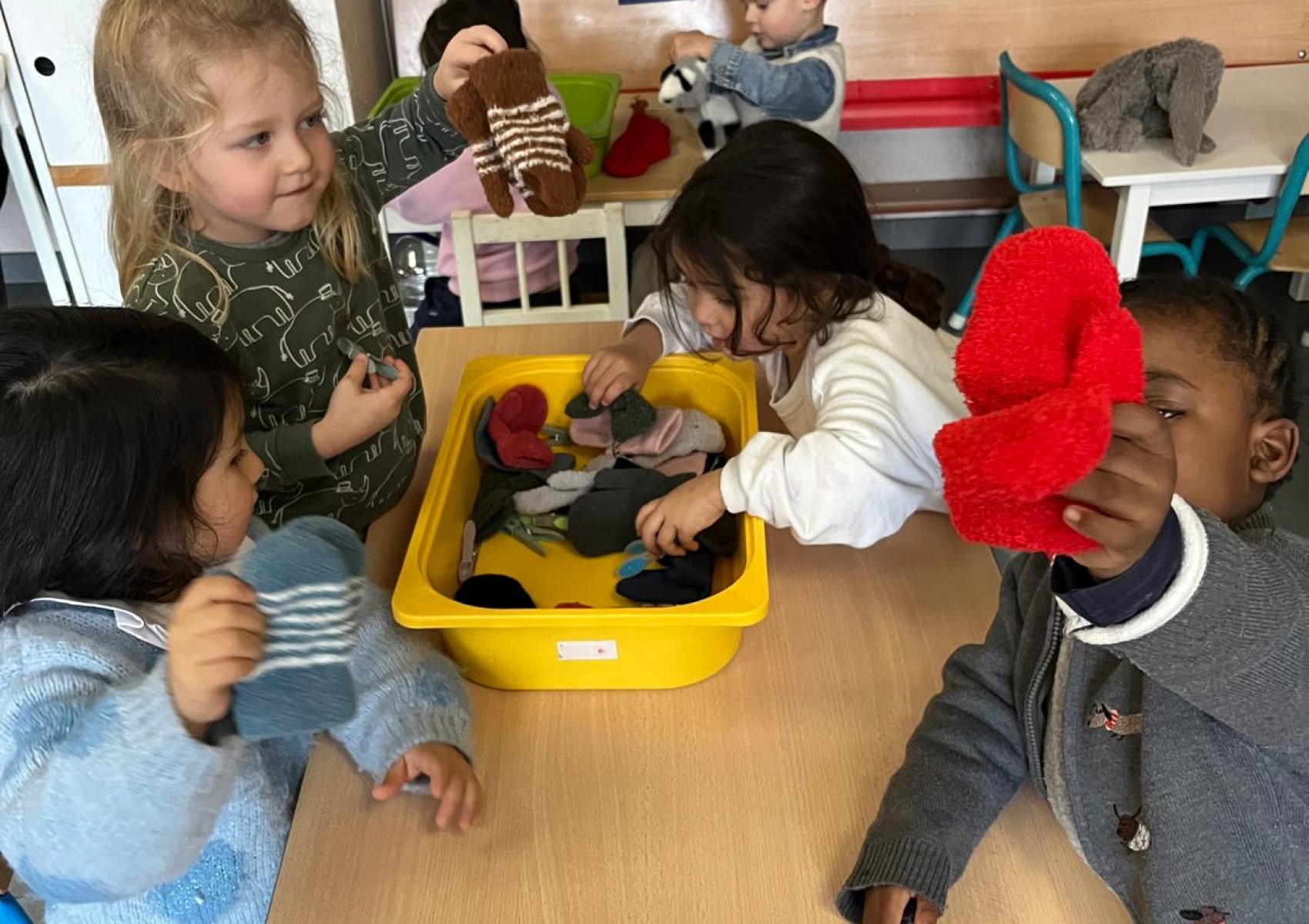 whatsapp image 2026-01-26 at 17.25.11 2